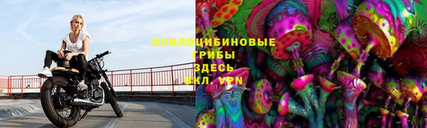 герыч Новодвинск