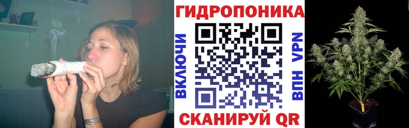 наркотики  OMG вход  Шишки марихуана индика  Ликино-Дулёво 